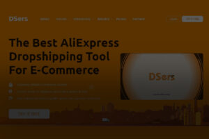 How to Start a Dropshipping Business with DSers ?